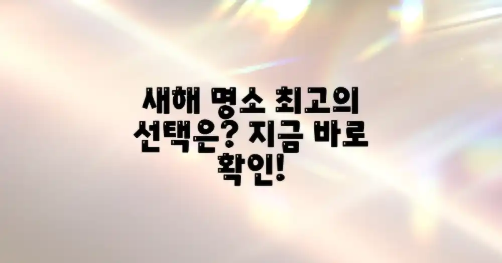 최고의 새해맞이 장소를 선택하세요