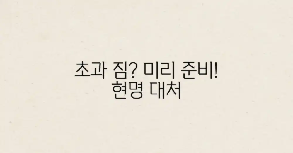 초과 짐, 미리 준비하고 현명하게 대처하세요.