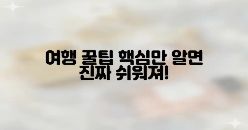 핵심 정보, 알면 여행이 쉬워져?